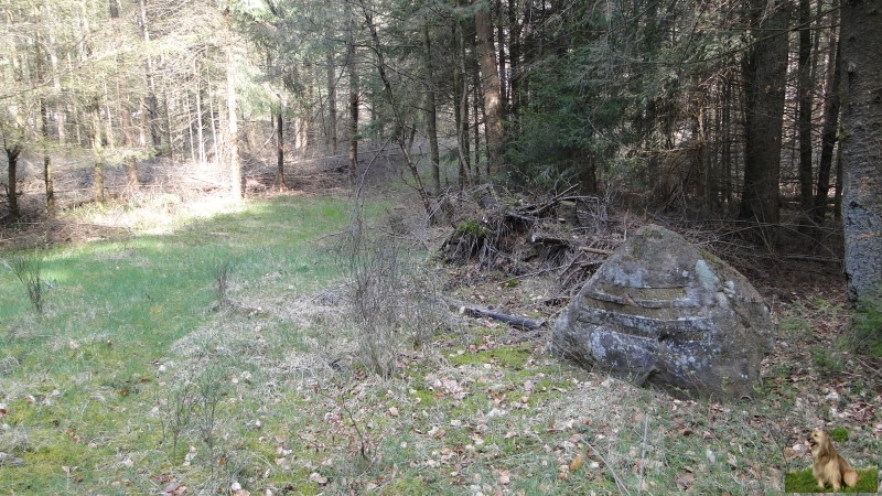 Ritterstein Nr. 278-3 Obere Isenach Ruine Wolfenhuette 100 mtr..JPG - Ritterstein Nr.278 Obere Isenach Ruine Wolfenhuette 100 mtr.